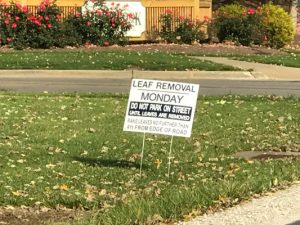 leaf pickup